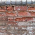 What do masonry properties depend on?